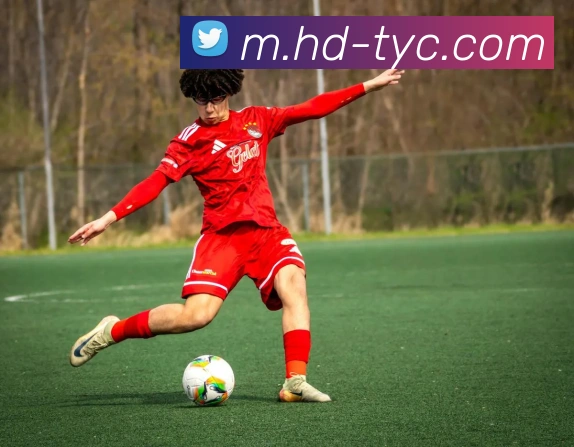 太阳城娱乐品牌故事